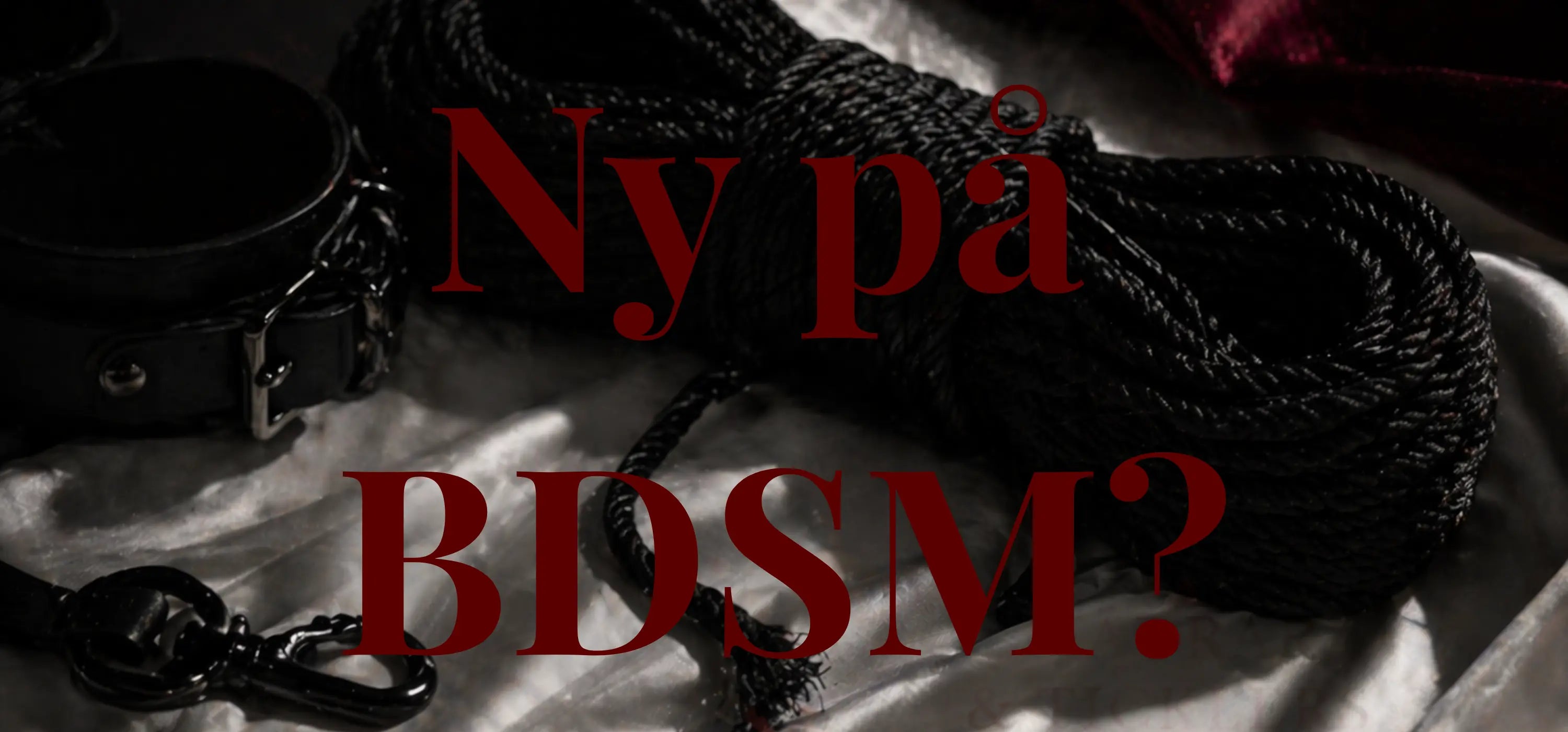 Ny inom BDSM? - NordicSin.se