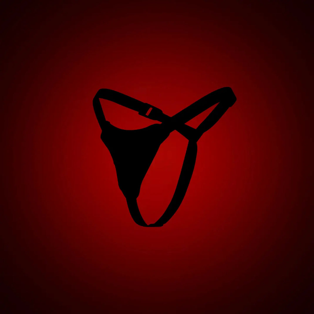 HARNESSES