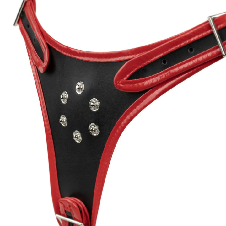 Tripple Didlo Strap-on Set från EasyToys hos NordicSin.se